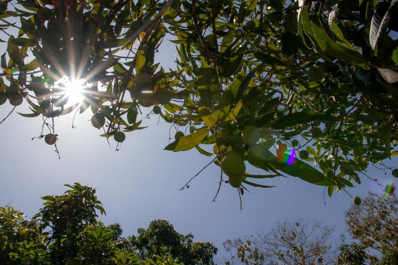 Entre Bosques Tayrona Villa ลอสนารานฆอส ภายนอก รูปภาพ