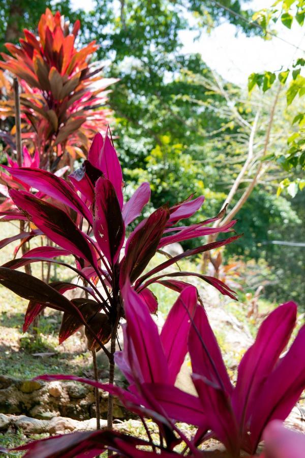 Entre Bosques Tayrona Villa ลอสนารานฆอส ภายนอก รูปภาพ