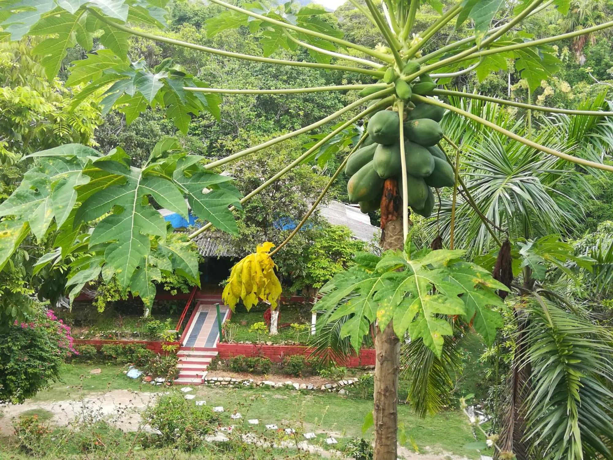 Entre Bosques Tayrona Villa ลอสนารานฆอส ห้อง รูปภาพ