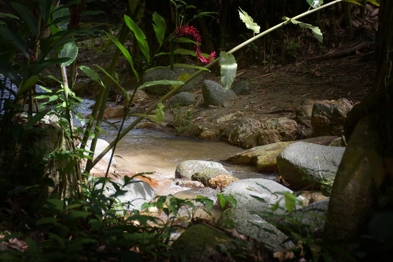 Entre Bosques Tayrona Villa ลอสนารานฆอส ภายนอก รูปภาพ