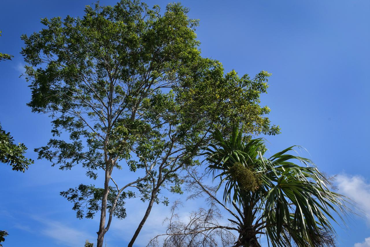 Entre Bosques Tayrona Villa ลอสนารานฆอส ภายนอก รูปภาพ