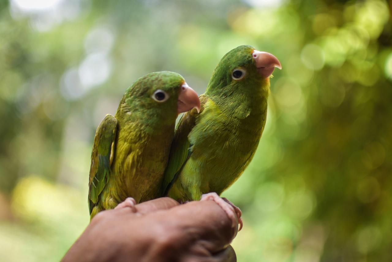 Entre Bosques Tayrona Villa ลอสนารานฆอส ภายนอก รูปภาพ