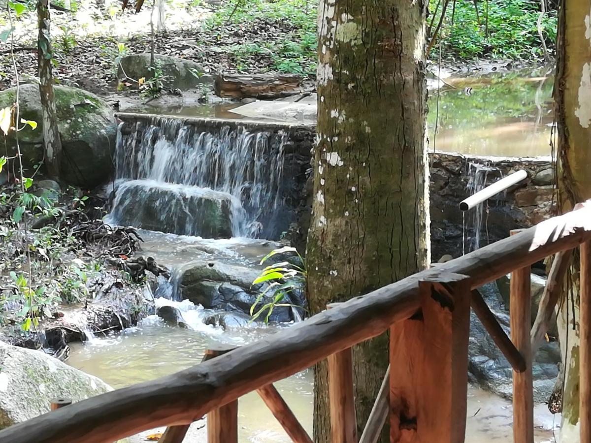 Entre Bosques Tayrona Villa ลอสนารานฆอส ภายนอก รูปภาพ